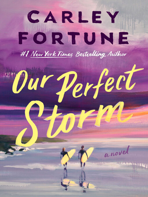 Cover image for Our Perfect Storm